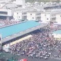 東京都中央卸売市場築地市場の写真_177251