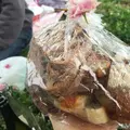 西郷山公園の写真_177256