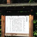 高山城跡の写真_177591
