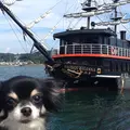 黒船サスケハナの写真_177652