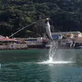 下田海中水族館の写真_177653
