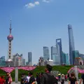 外灘（The Bund）の写真_177769
