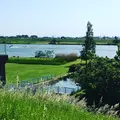 江戸川河川敷緑地の写真_177780