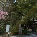 栖足寺の写真_1778601