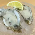 広島名物 牡蠣一番の写真_1779396