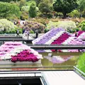 あしかがフラワーパークの写真_178137