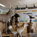 三峰ビジターセンターの写真_178239