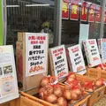 （株）ニコマートの写真_178260