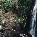 不動滝の写真_178355