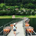 奥多摩湖の写真_178566