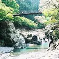 鳩ノ巣渓谷の写真_178722