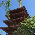 金剛寺（高幡不動尊）の写真_178931