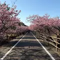 白砂公園の写真_1789607