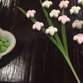 三谷製糖 羽根さぬき本舗の写真_179061