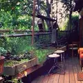 cafe momo gartenの写真_179312
