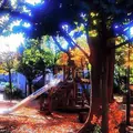 桃園川緑道の写真_179313