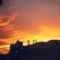 桃園川緑道の写真_179319