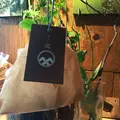 和菓子屋・和のかし 巡の写真_179742