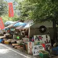 山のキノコ屋の写真_179904