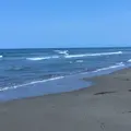 千里浜海岸の写真_180049