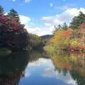 雲場池の写真_180109