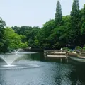 井の頭恩賜公園の写真_180144