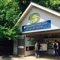 井の頭自然文化園の写真_180146
