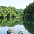 大正池の写真_180357