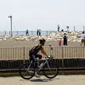 城南島海浜公園の写真_180401
