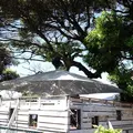 Cafe Madu ENOSHIMAの写真_180762