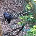 猿投山の写真_181145