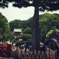 鶴岡八幡宮の写真_181284