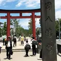 段葛の写真_181290
