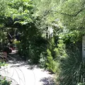 GARDEN HOUSE Kamakura（ガーデンハウス）の写真_181315
