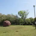 鷺湯公園の写真_1814302
