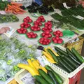 農協逗子直売組合の写真_181823