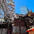 熊野神社（十二社熊野神社）の写真_1822757
