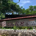 もずくそばの店くんなとぅの写真_1823452