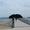 竹島の写真_1823798