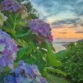 稲村ケ崎海浜公園の写真_182404