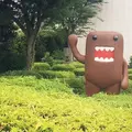 NHKスタジオパークの写真_182698