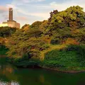 千鳥ヶ淵の写真_182839