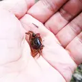 海上の森 里山サテライト（愛称：かたりべの家）の写真_183171