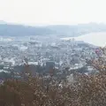 石垣山一夜城の写真_183196