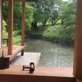 水辺のカフェ 三宅商店 酒津の写真_183541