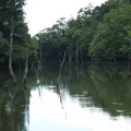 大正池の写真_183590