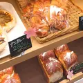 まるごとにっぽんの写真_183649