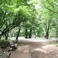 都立林試の森公園の写真_183670