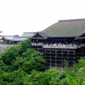 清水寺の写真_184016