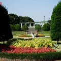 大佛次郎記念館の写真_184183